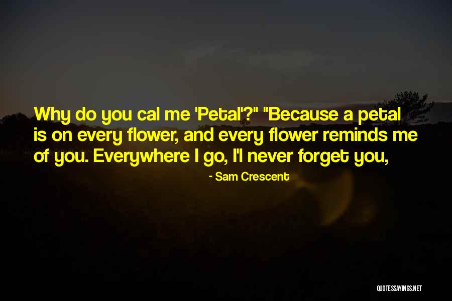 Shinpei Hayashiya Quotes By Sam Crescent Shinpei Hayashiya Quotes By Sam Crescent