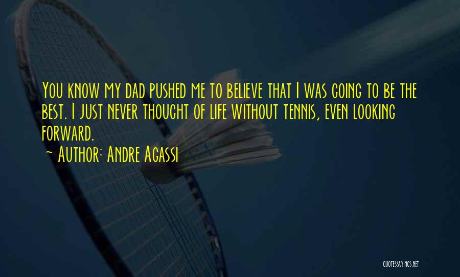 Shintarou Ayano Quotes By Andre Agassi
