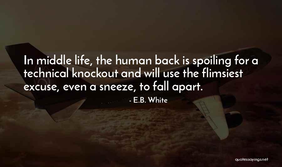 Shinwari Food Quotes By E.B. White Shinwari Food Quotes By E.B. White