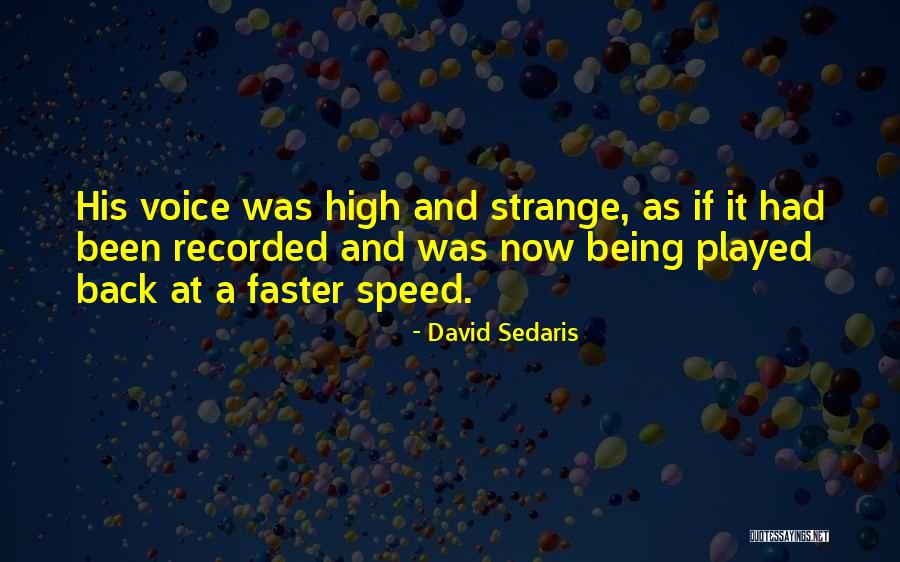 Shinwari Tribe Quotes By David Sedaris Shinwari Tribe Quotes By David Sedaris