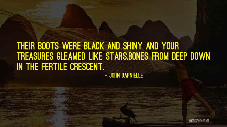 Shiny Stars Quotes By John Darnielle