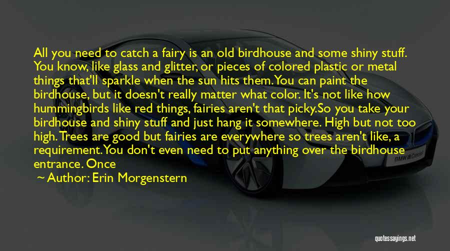 Shiny Things Quotes By Erin Morgenstern