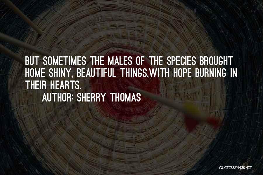 Shiny Things Quotes By Sherry Thomas