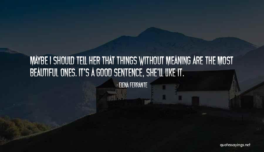 Shinzaburo Bags Quotes By Elena Ferrante Shinzaburo Bags Quotes By Elena Ferrante