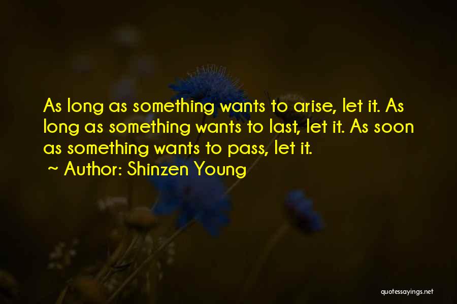 Shinzen Young Quotes 1892450