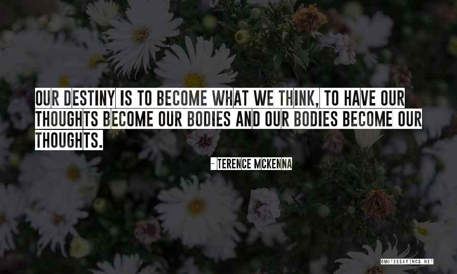 Shionova Quotes By Terence McKenna Shionova Quotes By Terence McKenna