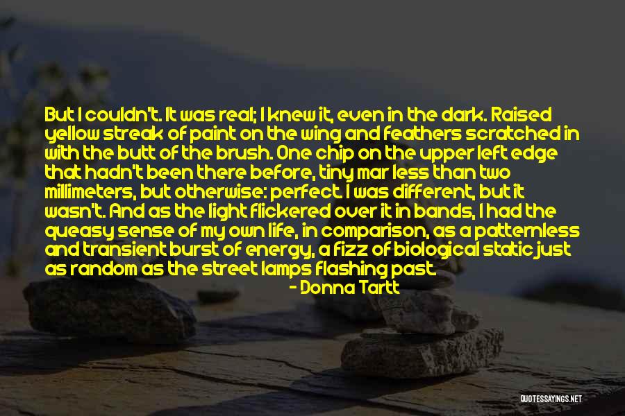 Shiota Chiharu Quotes By Donna Tartt Shiota Chiharu Quotes By Donna Tartt