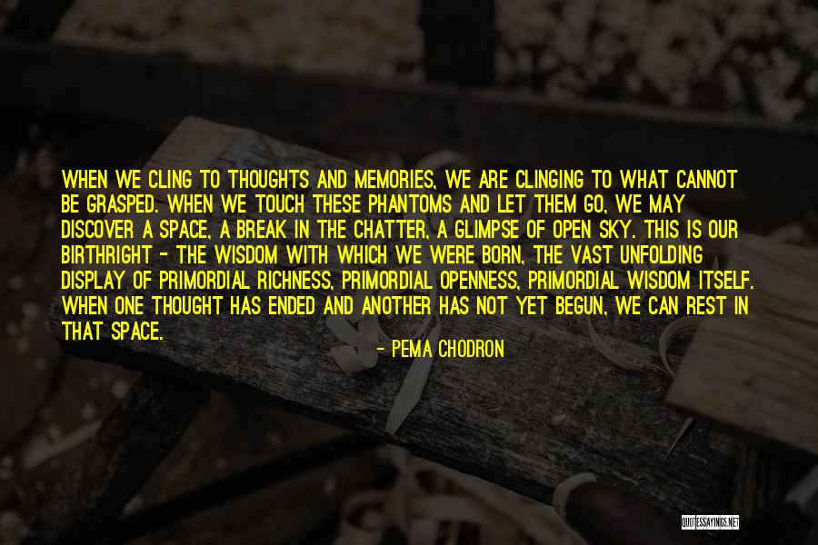 Shiotsuki Yuna Quotes By Pema Chodron Shiotsuki Yuna Quotes By Pema Chodron