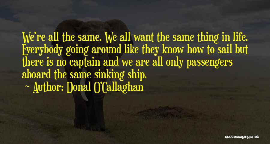 Ship And Captain Quotes By Donal O'Callaghan
