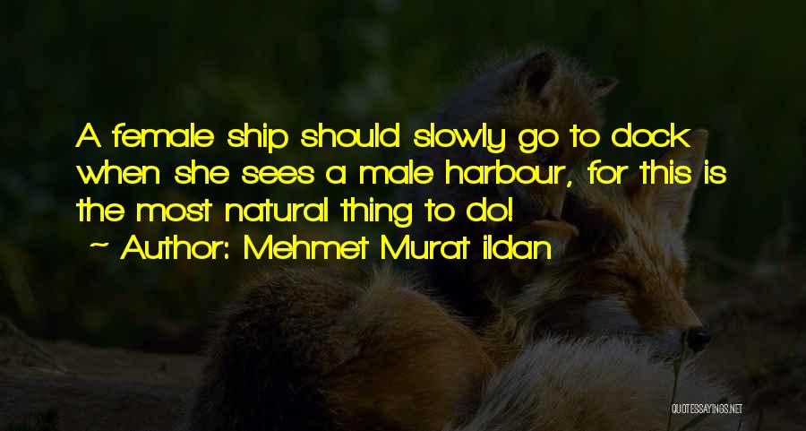 Ship Harbour Quotes By Mehmet Murat Ildan