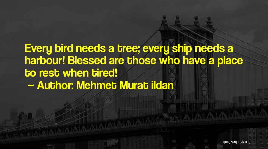 Ship Harbour Quotes By Mehmet Murat Ildan Ship Harbour Quotes By Mehmet Murat Ildan