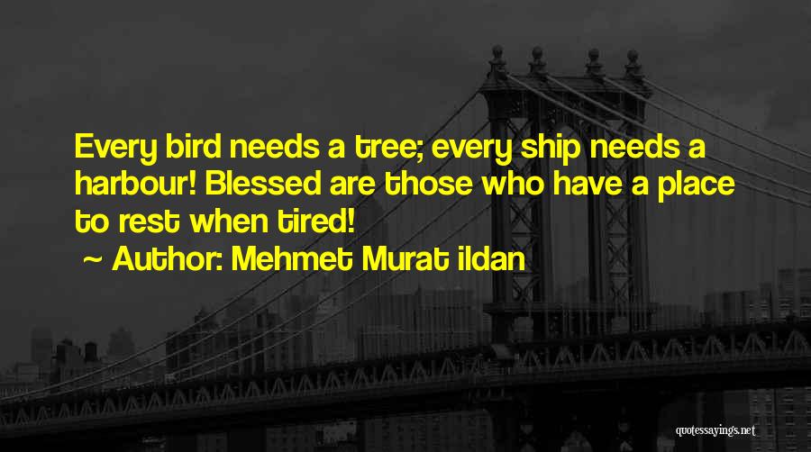 Ship Harbour Quotes By Mehmet Murat Ildan