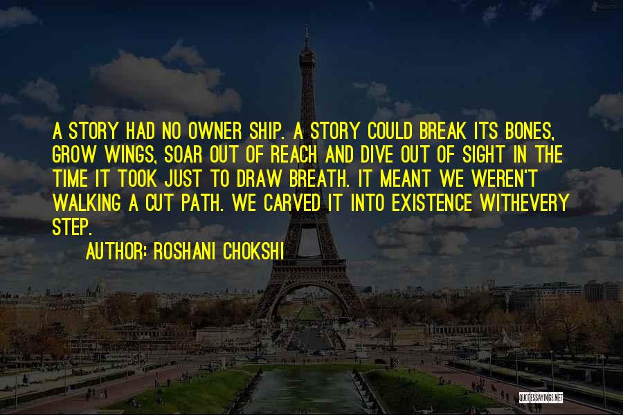 Ship Owner Quotes By Roshani Chokshi