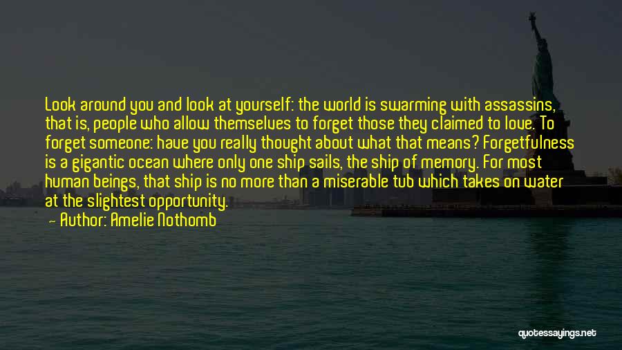 Ship Sails Quotes By Amelie Nothomb