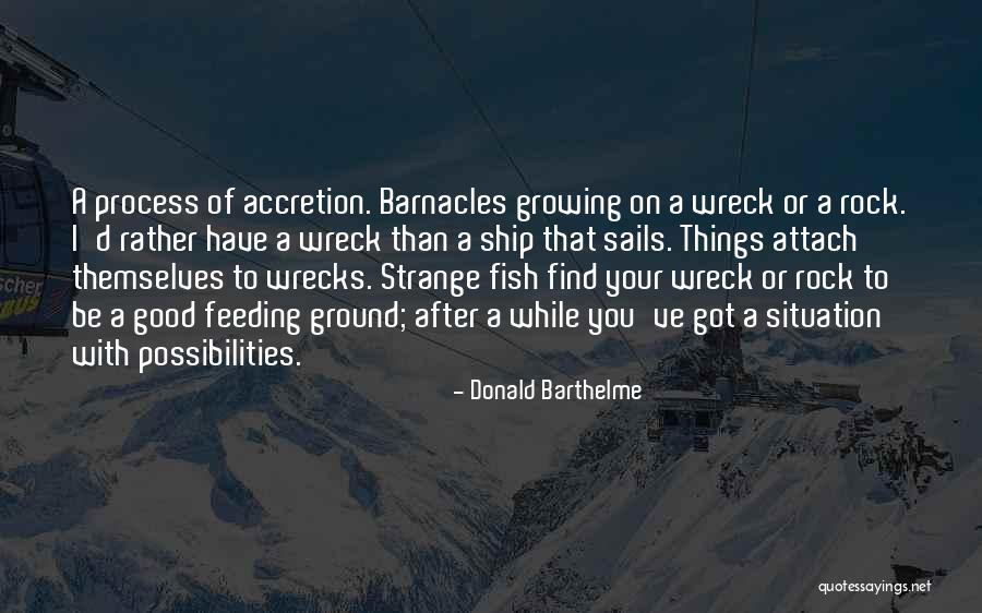 Ship Sails Quotes By Donald Barthelme Ship Sails Quotes By Donald Barthelme