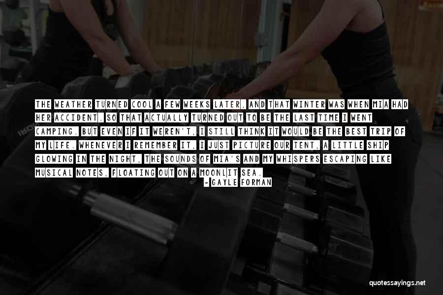 Ship Turned Quotes By Gayle Forman Ship Turned Quotes By Gayle Forman
