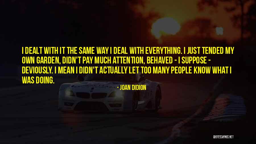 Shipes Flight Quotes By Joan Didion Shipes Flight Quotes By Joan Didion