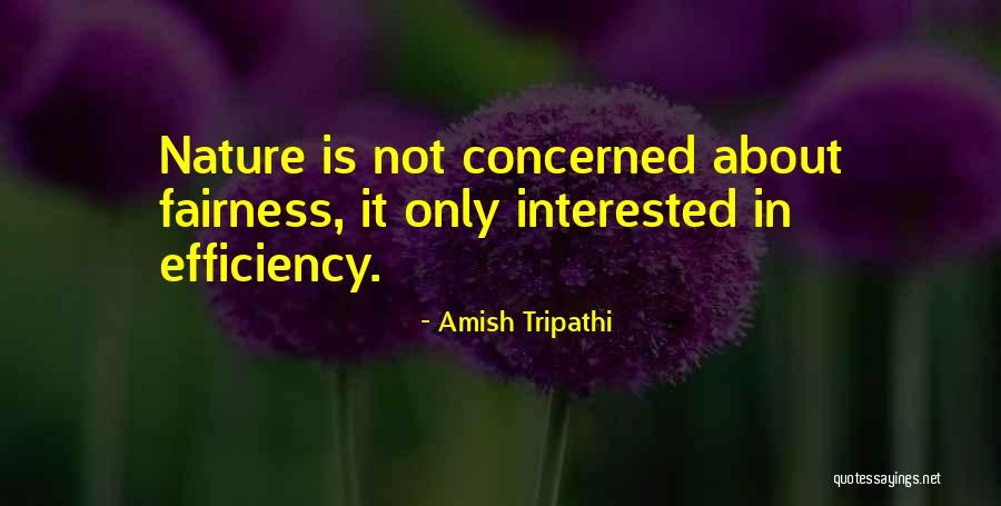 Shipilina Hollander Quotes By Amish Tripathi Shipilina Hollander Quotes By Amish Tripathi