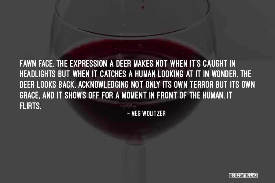 Shipone Quotes By Meg Wolitzer Shipone Quotes By Meg Wolitzer