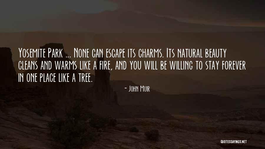 Shipowners Quotes By John Muir Shipowners Quotes By John Muir