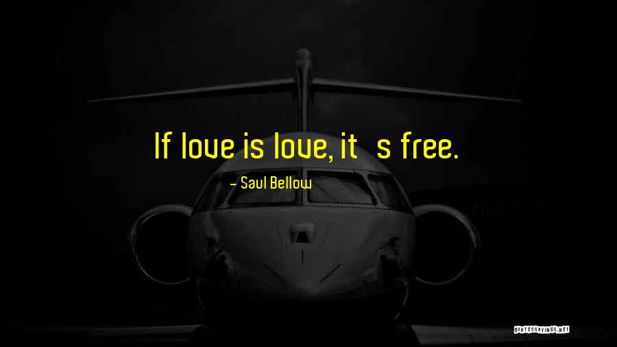 Shipping Travel Trailer Quotes By Saul Bellow Shipping Travel Trailer Quotes By Saul Bellow