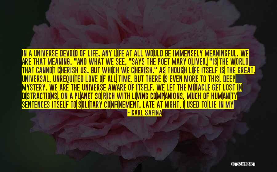 Ships And Love Quotes By Carl Safina Ships And Love Quotes By Carl Safina