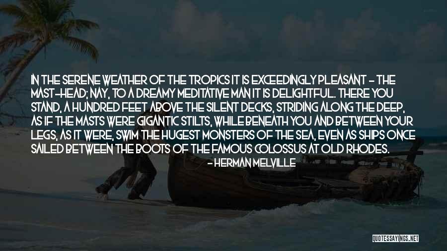 Ships At Sea Quotes By Herman Melville Ships At Sea Quotes By Herman Melville