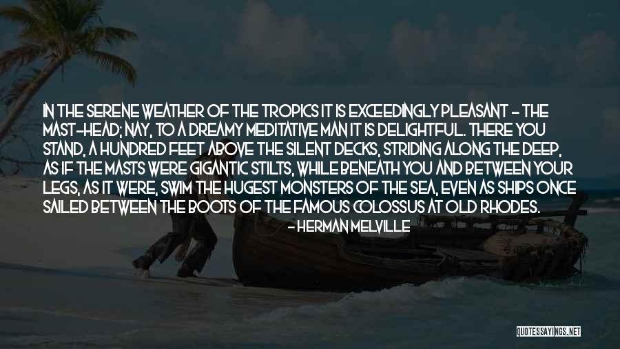 Ships At Sea Quotes By Herman Melville