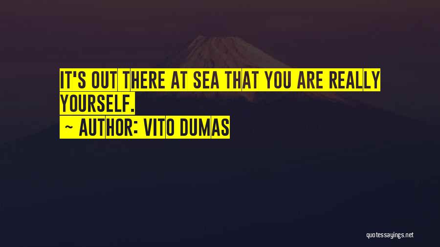 Ships At Sea Quotes By Vito Dumas