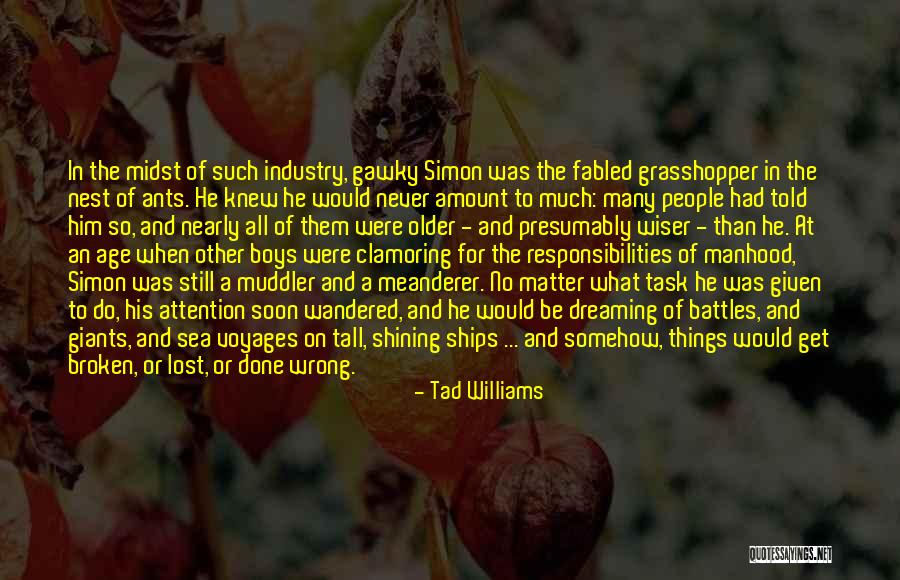 Ships Lost At Sea Quotes By Tad Williams Ships Lost At Sea Quotes By Tad Williams