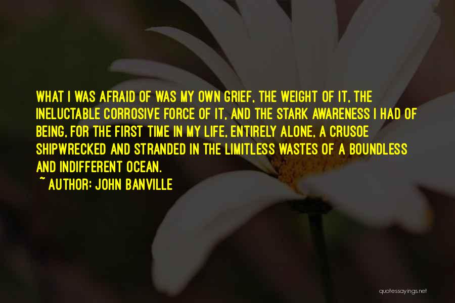 Shipwrecked Quotes By John Banville