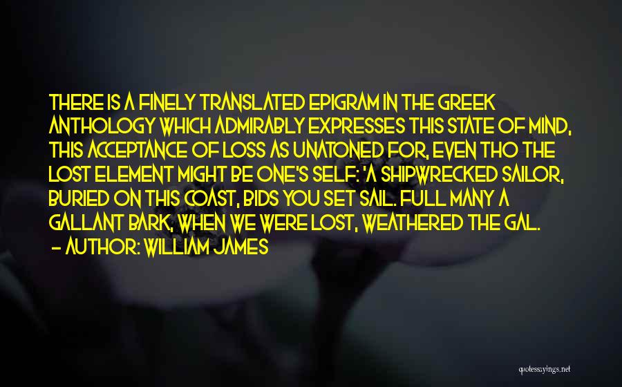 Shipwrecked Quotes By William James