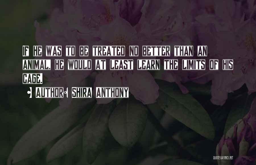Shira Anthony Quotes 1024887