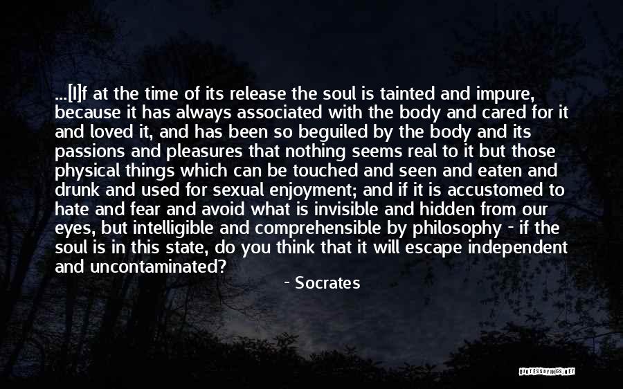 Shira Erlichman Quotes By Socrates Shira Erlichman Quotes By Socrates