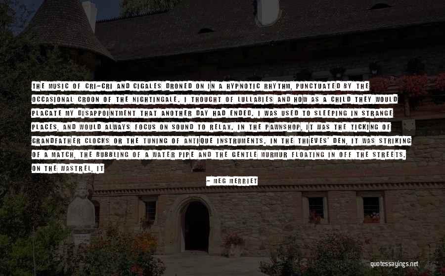 Shiradori Quotes By Meg Merriet Shiradori Quotes By Meg Merriet