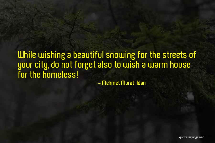 Shiratamako Quotes By Mehmet Murat Ildan Shiratamako Quotes By Mehmet Murat Ildan