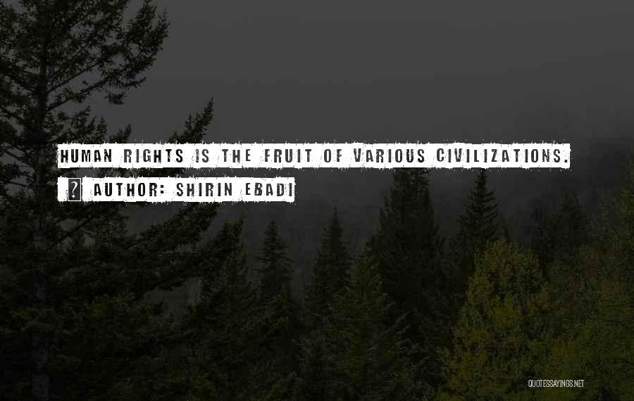 Shirin Ebadi Quotes 1504114