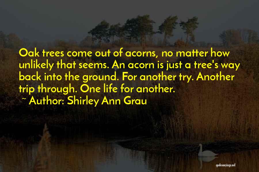 Shirley Ann Grau Quotes 1426527