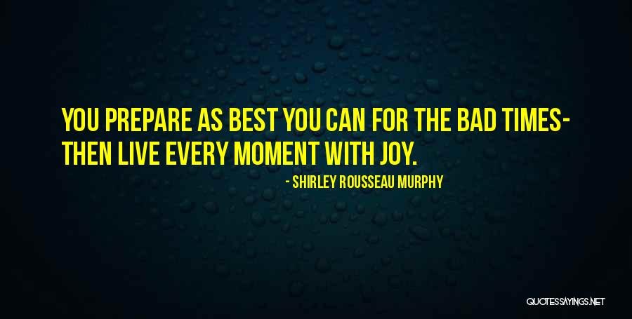 Shirley Rousseau Murphy Quotes 1019114