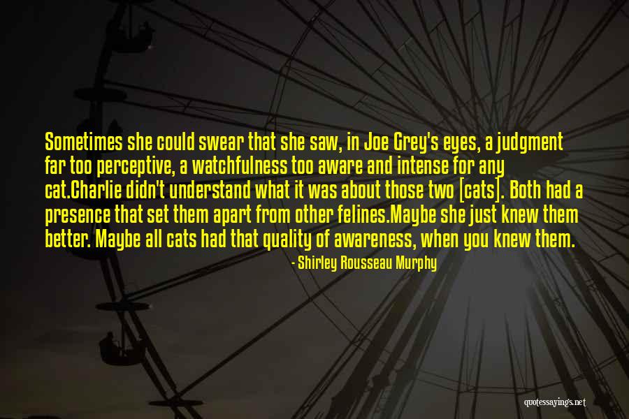 Shirley Rousseau Murphy Quotes 1716148 Shirley Rousseau Murphy Quotes 1716148