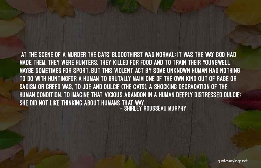 Shirley Rousseau Murphy Quotes 684081