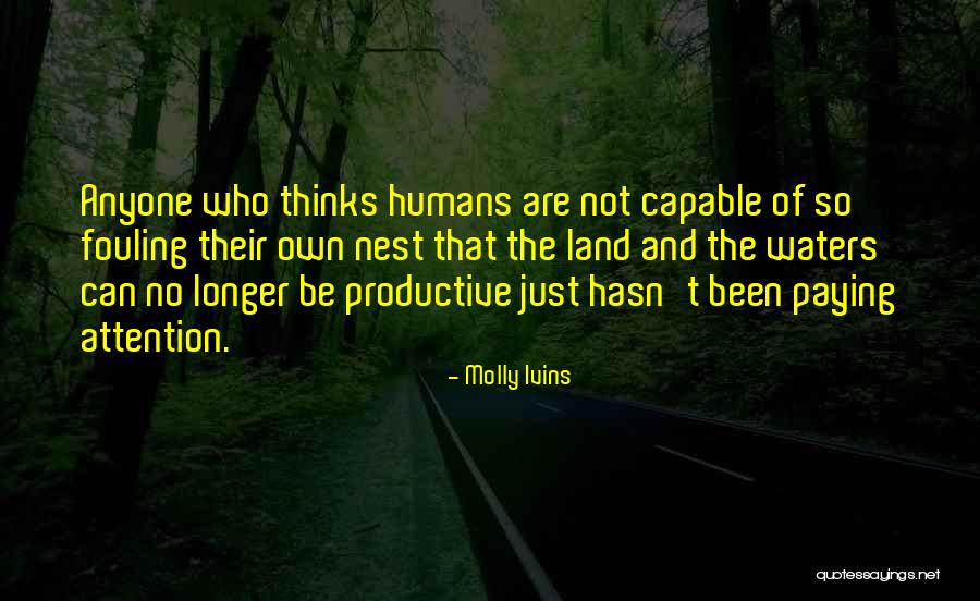 Shirogane Kaguya Quotes By Molly Ivins Shirogane Kaguya Quotes By Molly Ivins