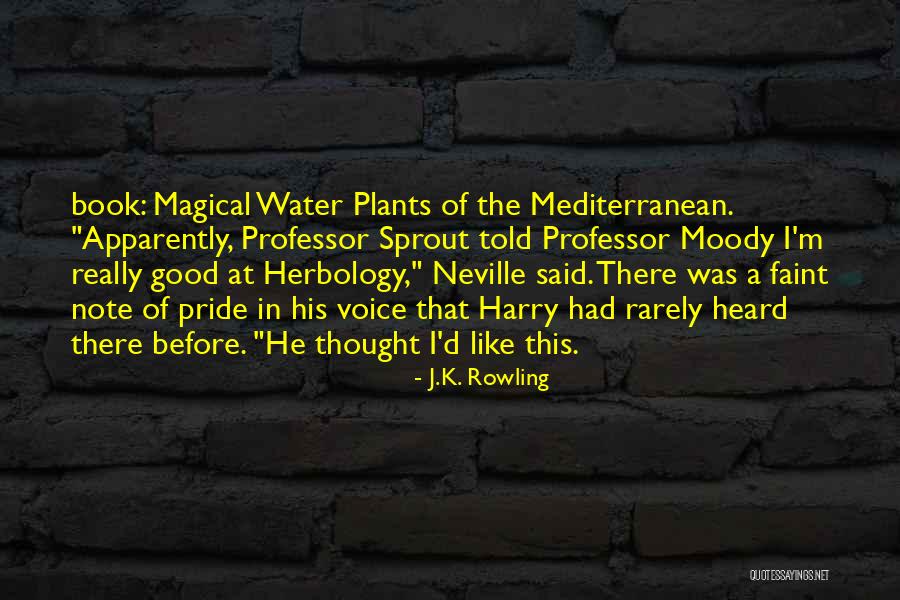 Shisha Quotes By J.K. Rowling Shisha Quotes By J.K. Rowling