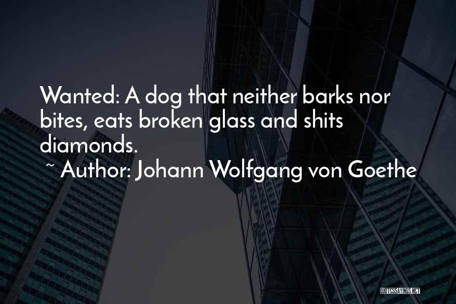 Shits Quotes By Johann Wolfgang Von Goethe