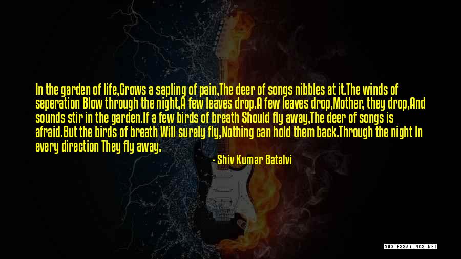 Shiv Kumar Batalvi Quotes 1958134