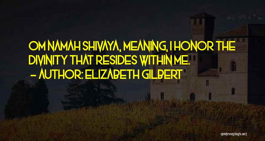 Shivaya Quotes By Elizabeth Gilbert