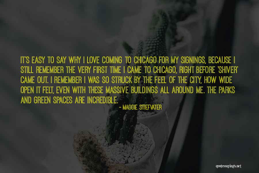 Shiver Maggie Quotes By Maggie Stiefvater