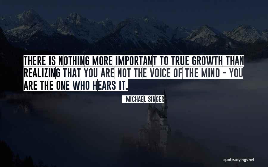 Shiviti Quotes By Michael Singer Shiviti Quotes By Michael Singer