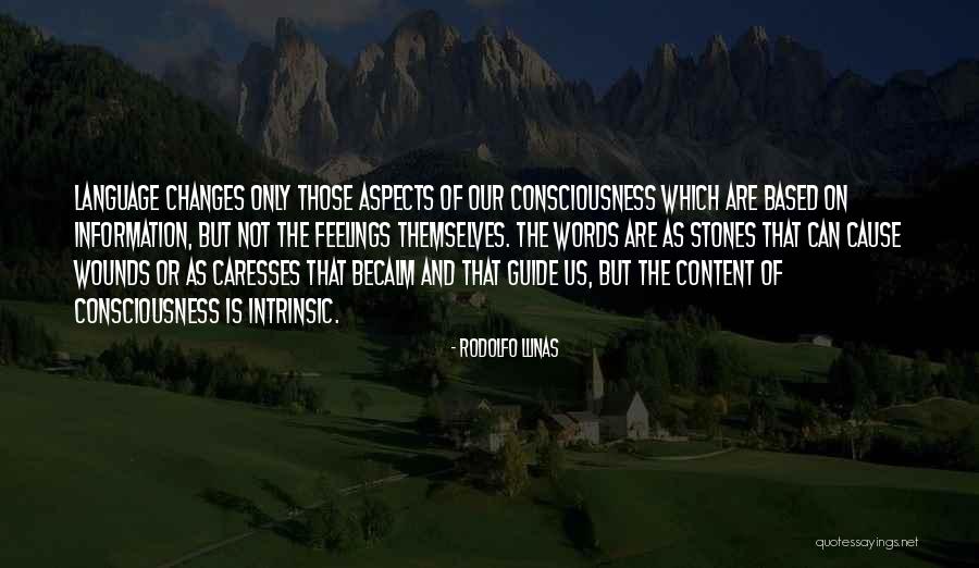 Shiviti Quotes By Rodolfo Llinas Shiviti Quotes By Rodolfo Llinas