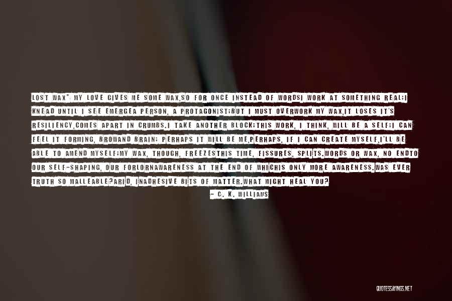 Shivkumar Kalyanaraman Quotes By C. K. Williams Shivkumar Kalyanaraman Quotes By C. K. Williams